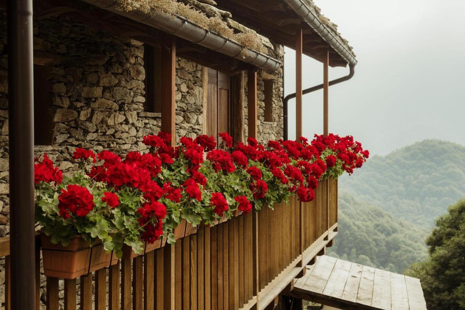 לינה וארוחת בוקר Chiusa di Pesio Rifugio Alpino Baudinet - Trek&Relax מראה חיצוני תמונה